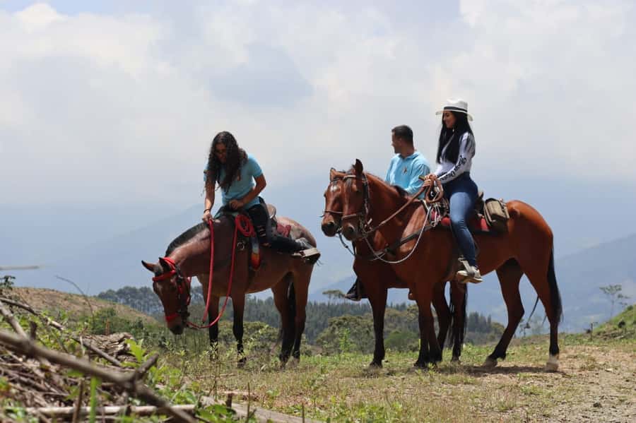 Medellin: Horseback Riding in the Medellin Mountains - Should you book the Medellín mountain ride?