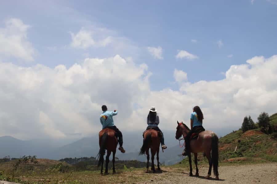 Medellin: Horseback Riding in the Medellin Mountains - Meeting the horses and learning the basics