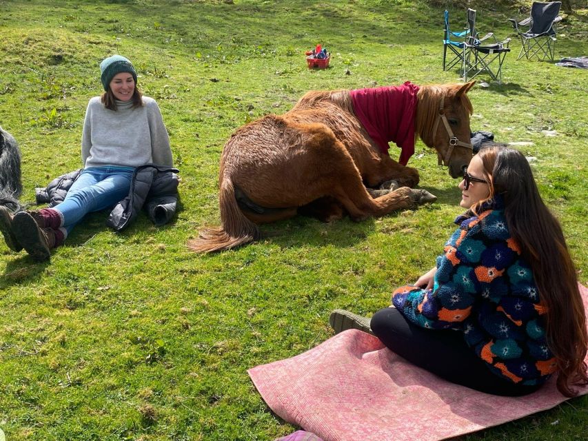 Meditate With Horses - Key points to know before you book
