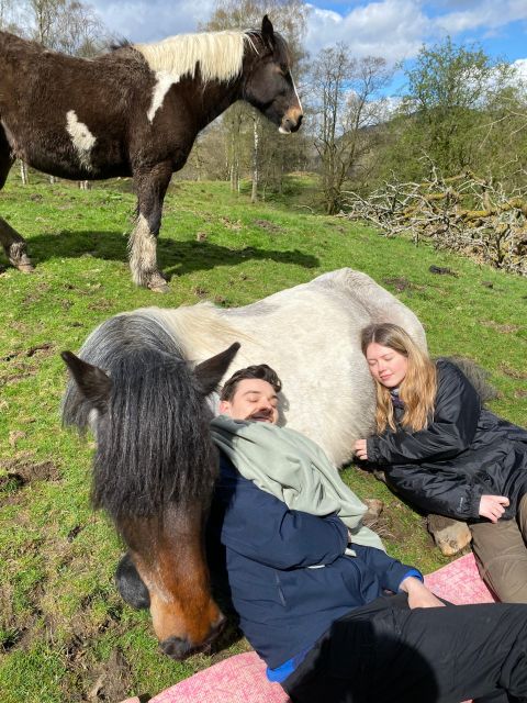 Meditate With Horses - What to wear and what not to carry