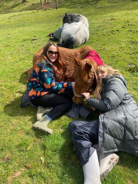 Meditate With Horses - Arriving at Holmeshead Farm near Ambleside