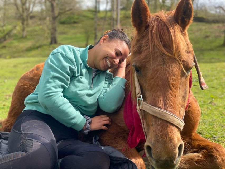 Meditate With Horses - The 30-minute safety talk and first lesson in body language