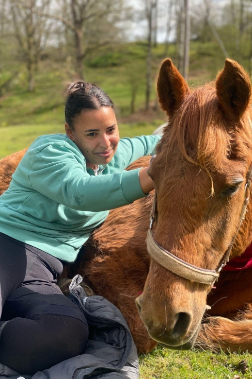 Meditate With Horses - Grooming brings rhythm to the first workshop