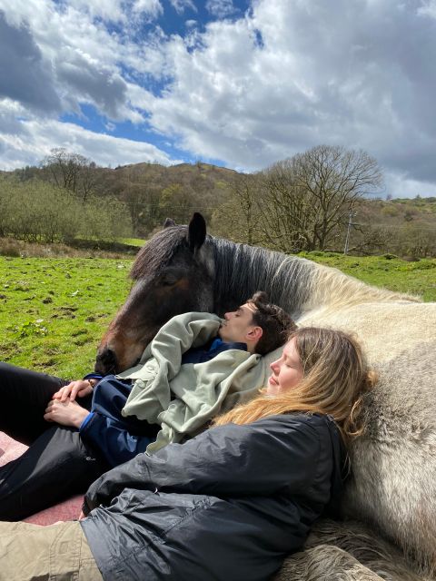 Meditate With Horses - Breathwork and the moment the horses settle