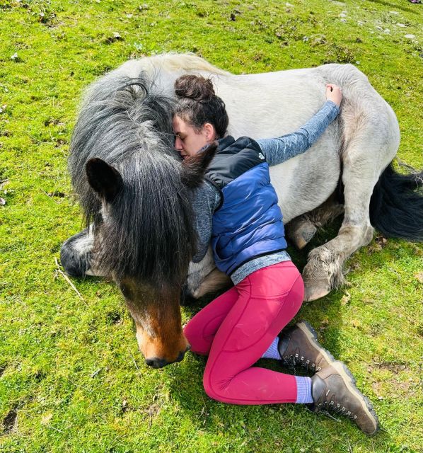 Meditate With Horses - The second workshop focuses on deeper calm