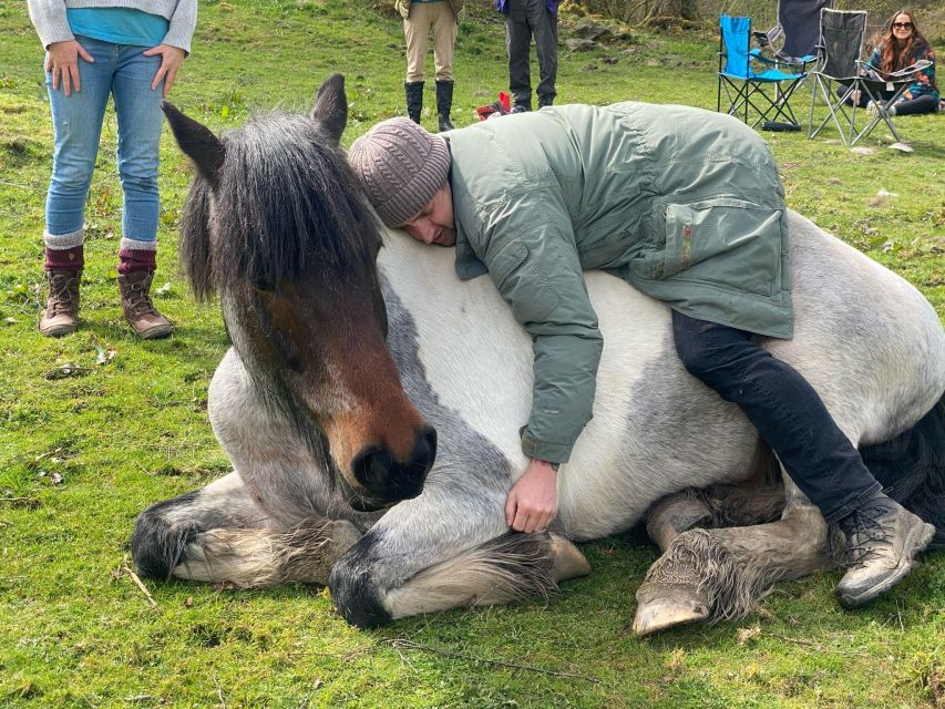 Meditate With Horses - Why the Lake District setting matters