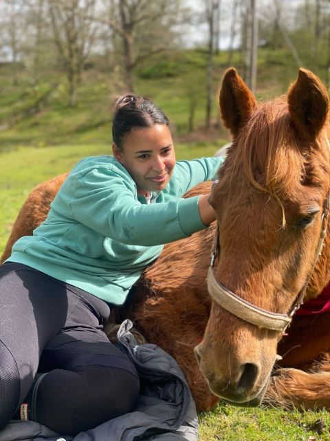 Meditate With Horses - Meeting rescue horses without the pressure to ride