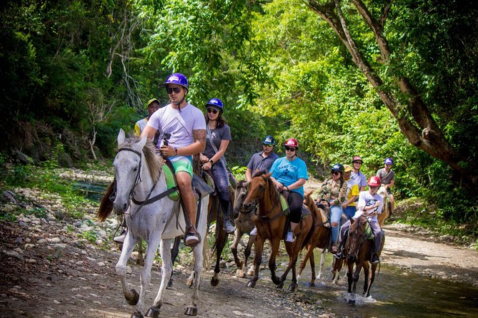 Mega Extreme Adventure: Horseback Riding, Ziplining and more - Horseback riding at the farm