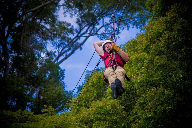 Mega Extreme Adventure: Horseback Riding, Ziplining and more - Dominican buffet lunch and the farm break