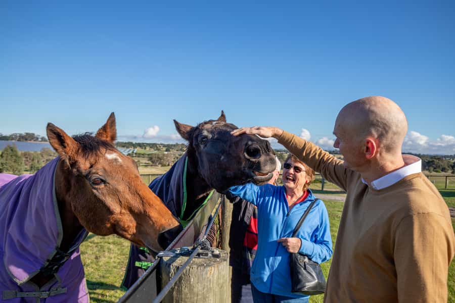 Melbourne: Full-Day Horses, Wine, and Beer Tour - Why this day trip feels different from a standard winery tour