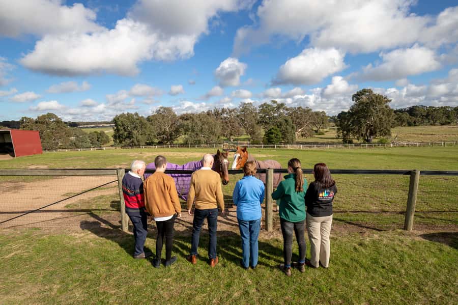Melbourne: Full-Day Horses, Wine, and Beer Tour - Living Legends and the morning with retired champions