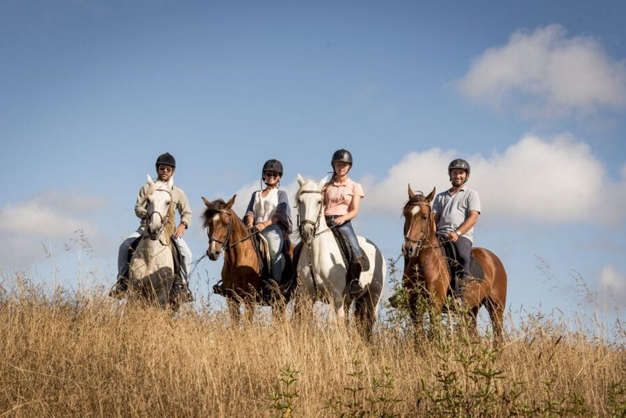 Melides: Horse Riding on the Beach with Wine Tasting - From Lisbon to the Melides riding center