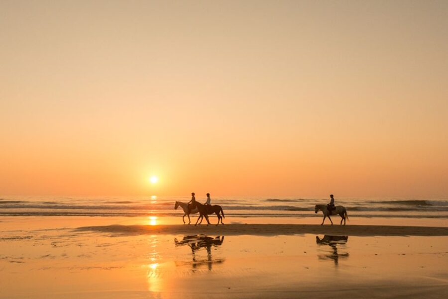 Melides: Horse Riding on the Beach with Wine Tasting - Reaching the long, quiet beach