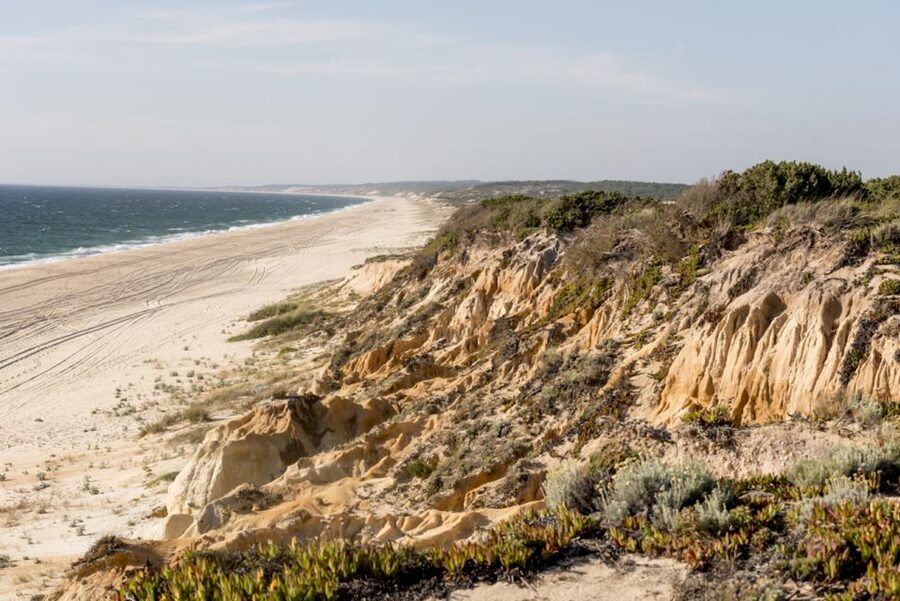 Melides: Horse Riding on the Beach with Wine Tasting - Barbecue lunch or private instructor
