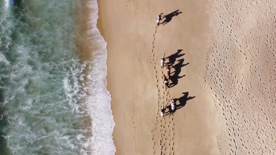 Melides: Horseback Riding on Melides Beach - Key points to know before you book