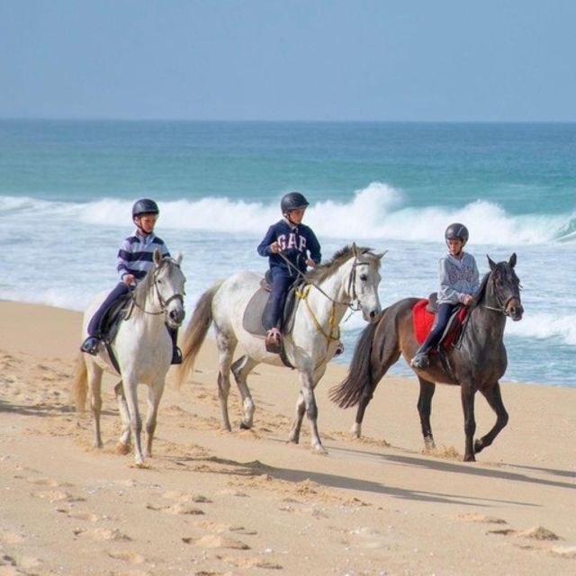 Melides: Horseback Riding on Melides Beach - Reaching Melides Beach