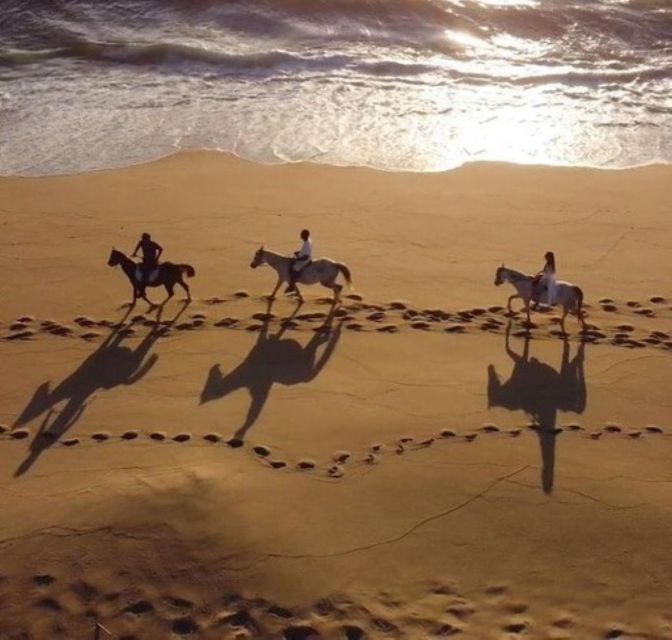 Melides: Horseback Riding on Melides Beach - Joana and the human side of the tour