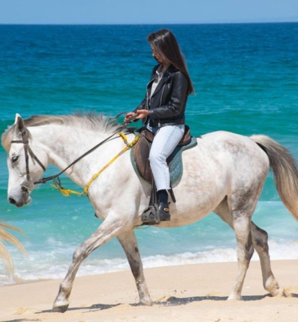 Melides: Horseback Riding on Melides Beach - What the $76 price includes