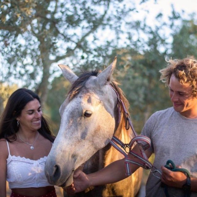 Melides: Horseback Riding on Melides Beach - Practical advice for a smoother ride