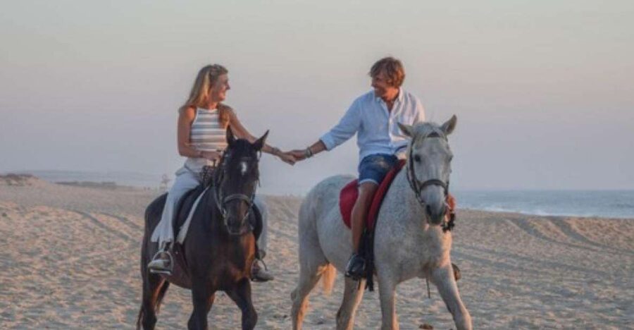 Melides: Horseback Riding on Melides Beach - The horses make the ride approachable