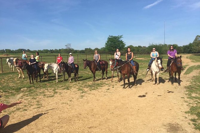 Memphis Horseback Trail Ride Tour - Quick points before you book