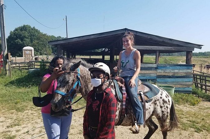 Memphis Horseback Trail Ride Tour - Why beginners tend to get good value