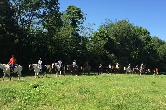 Memphis Horseback Trail Ride Tour - Group size, timing, and the practical details