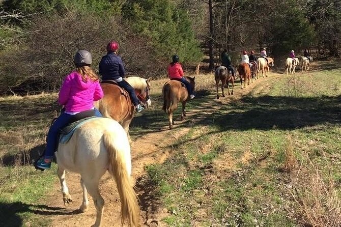 Memphis Horseback Trail Ride Tour - Who should book this Memphis horseback ride?