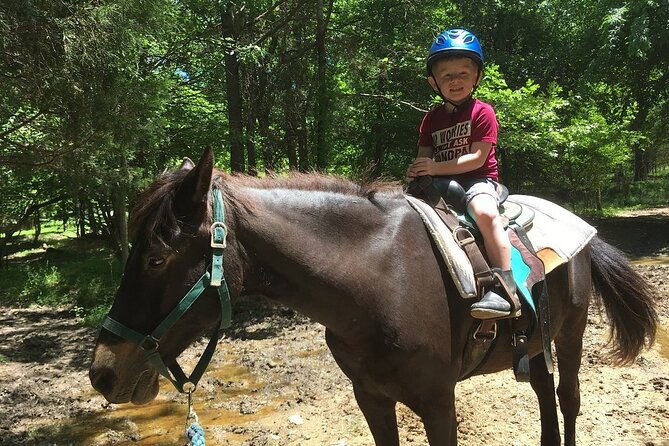 Memphis Horseback Trail Ride Tour - Getting comfortable before the trail