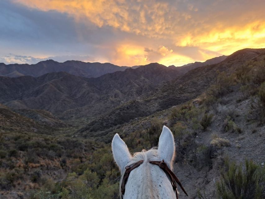 Mendoza: Sunset Horse Back Riding in the Mountains and BBQ - A practical verdict for Mendoza