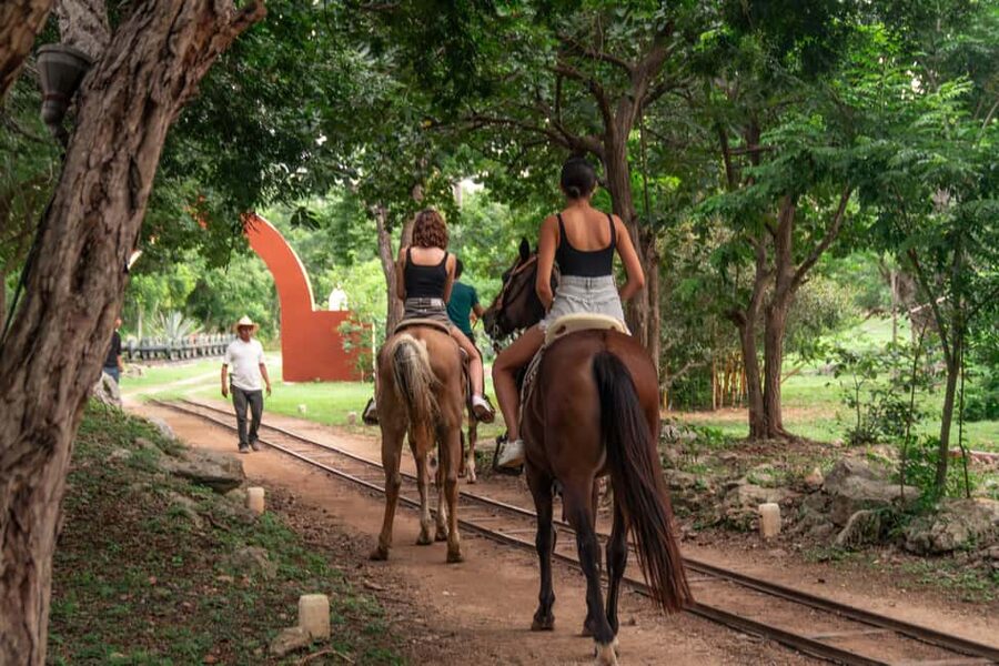 Mérida: Jungle & Cenotes Tour with Horseriding & Lunch - What the three-hour outing is really like
