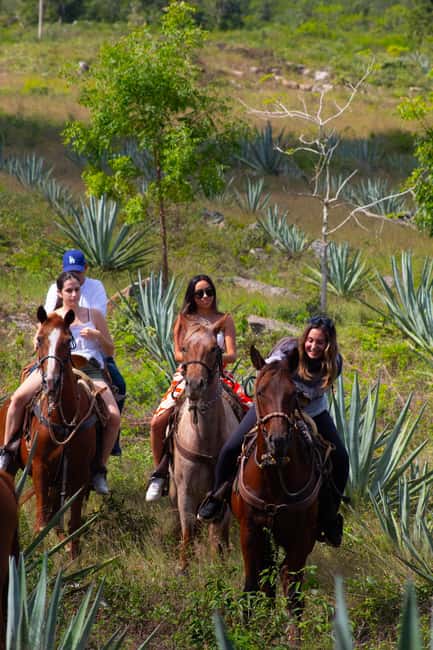 Mérida: Jungle & Cenotes Tour with Horseriding & Lunch - Riding through jungle and henequen fields