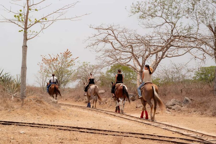 Mérida: Jungle & Cenotes Tour with Horseriding & Lunch - Should you book the Hacienda Sotuta de Peón tour?