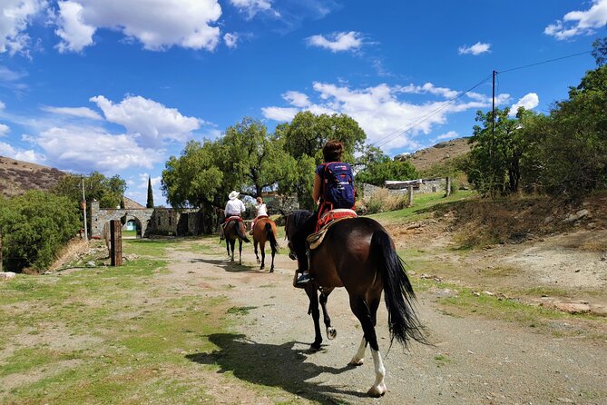 Mexican Equestrian Experience - Leaving Guanajuato by road and hoof
