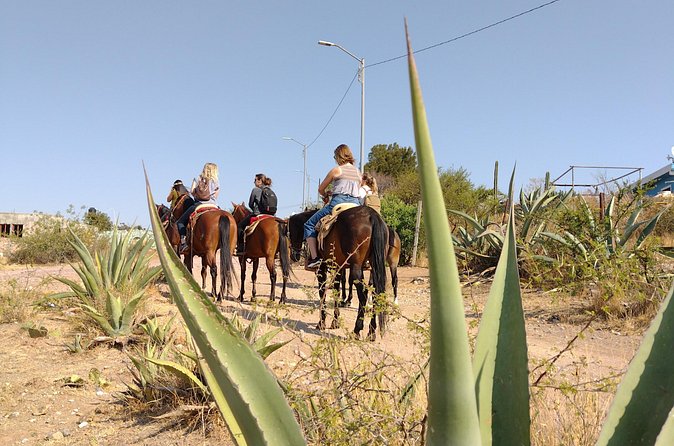 Mexican Equestrian Experience - Why the private format matters