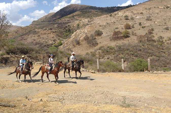 Mexican Equestrian Experience - Morning or afternoon: choosing the better slot