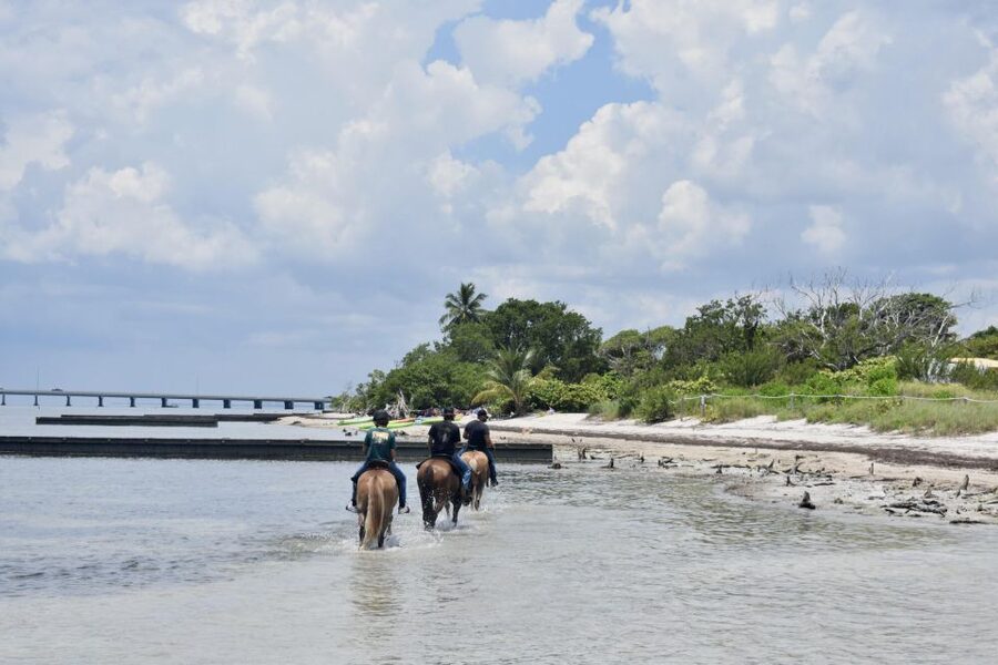 Miami: Beach Horse Ride & Nature Trail - Key things to know before you go