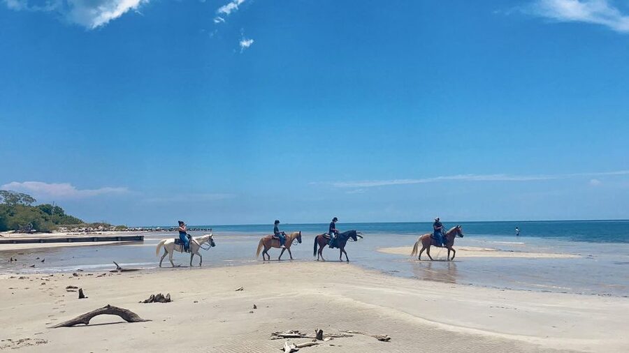 Miami: Beach Horse Ride & Nature Trail - Starting at Palomino Ranch and Meeting Your Horse