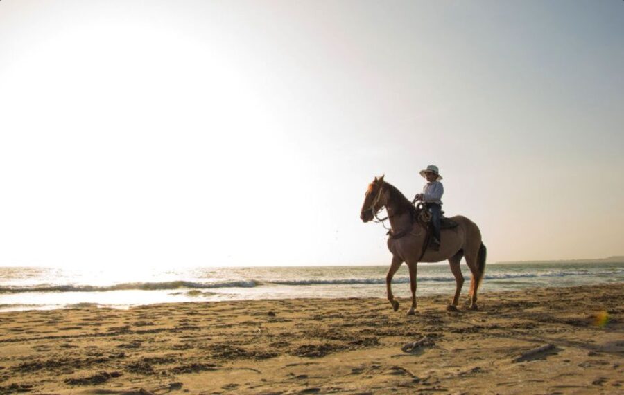 Miami: Beach Horse Ride & Nature Trail - Reaching the White Sand and Water