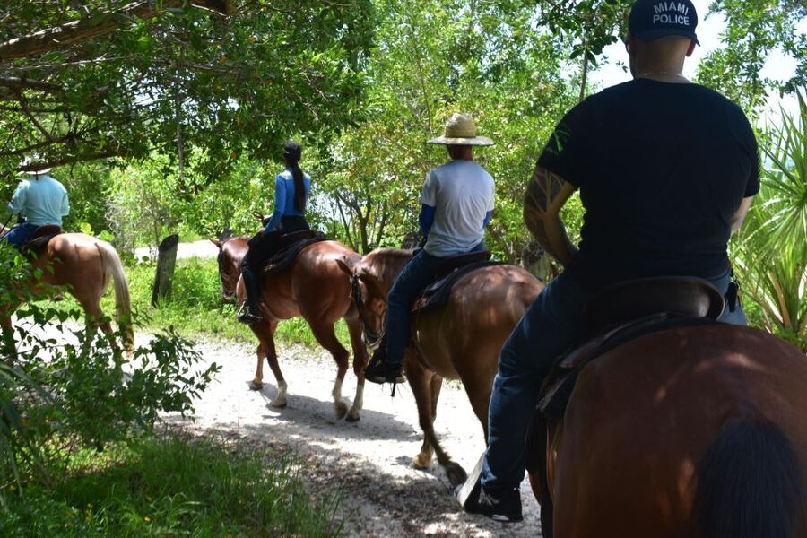Miami: Beach Horse Ride & Nature Trail - Who Will Enjoy This Most?