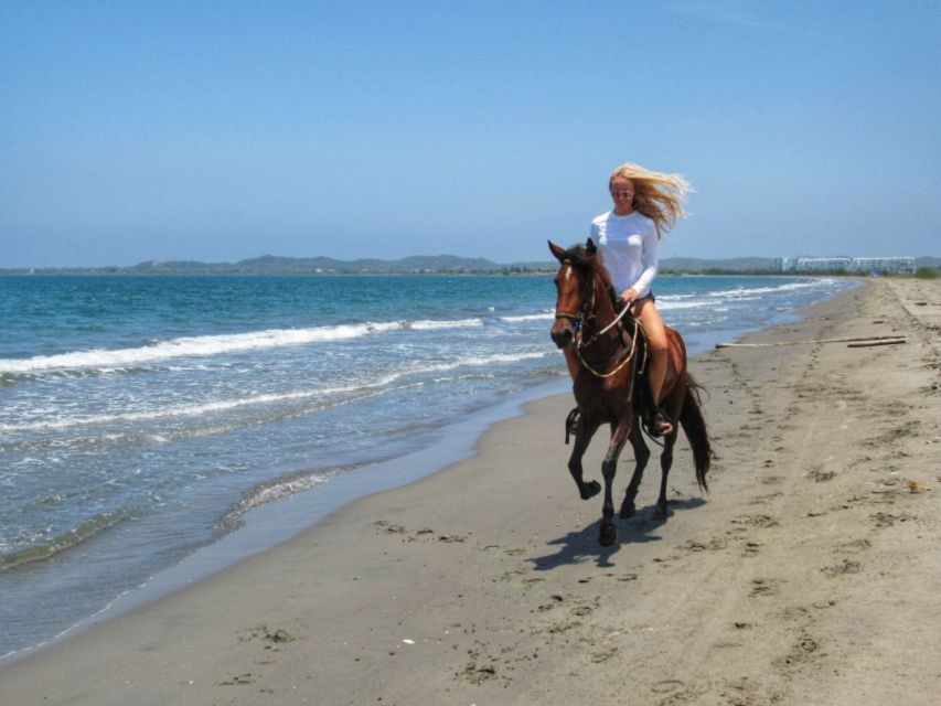 Miami: Beach Horse Ride & Nature Trail - FAQ