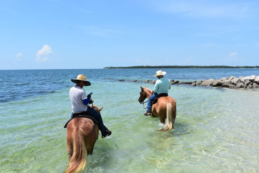 Miami: Beach Horse Ride & Nature Trail - Following the Nature Trail Through Virginia Key Beach Park