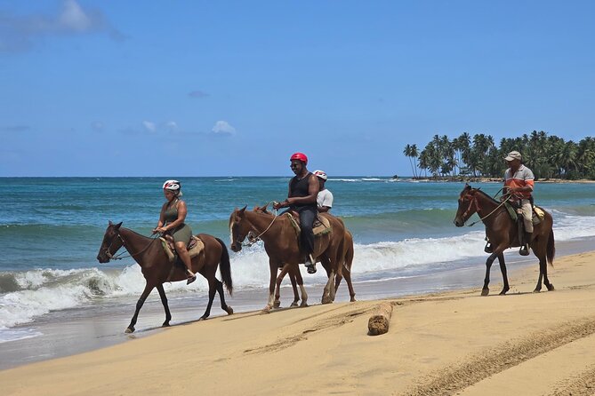 Miches Beach Horseback Riding - Leaving Punta Cana for Miches
