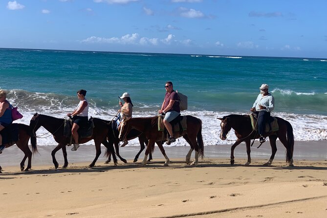Miches Beach Horseback Riding - What the Horses Mean for Your Experience