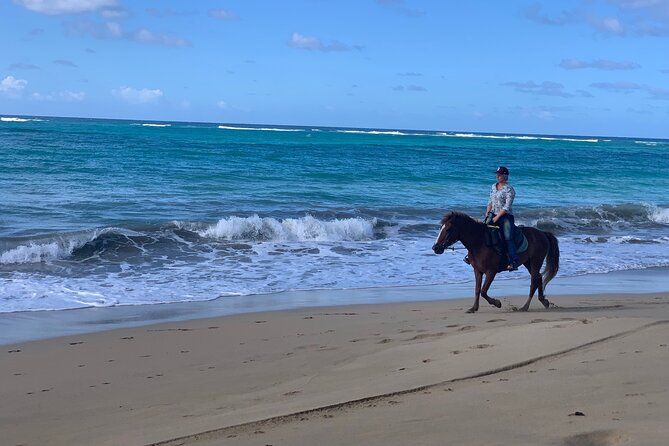 Miches Beach Horseback Riding - Is Four Hours Good Value at $70?