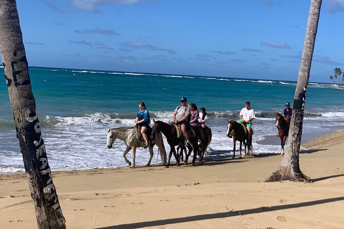 Miches Beach Horseback Riding - Booking, Weather, and Cancellation Details