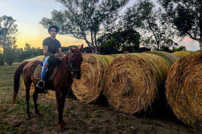 Middle day out of Rome on Horseback with meals included - Who will enjoy this most?