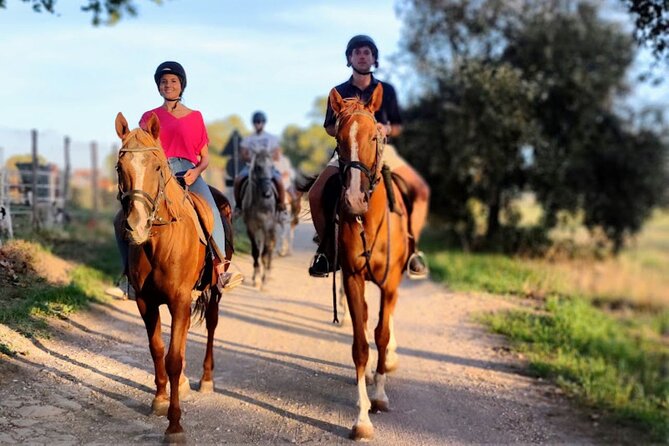 Middle day out of Rome on Horseback with meals included - A village stroll, ice cream, and a change of pace