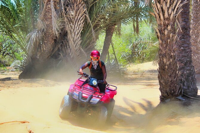 Migriño Beach ATV and Horseback Riding Experience - From San Jose del Cabo to the Migriño ranch