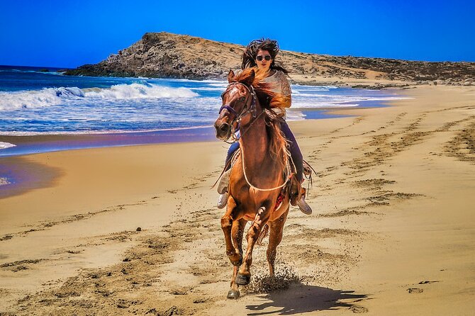 Migriño Beach Horseback Riding Experience - Hotel pickup makes the day easier